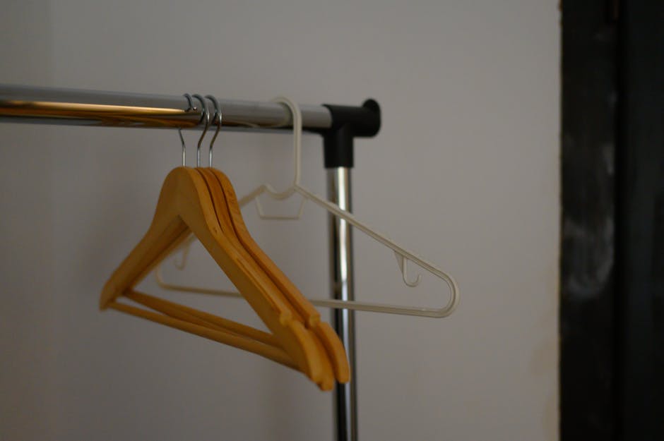 Hanger Organization: The Secret to a Functional Closet