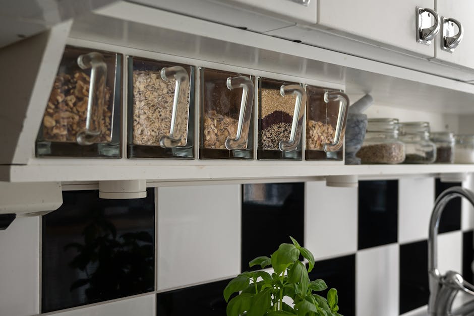 Meal Prep Storage Ideas That Save Hours Every Week