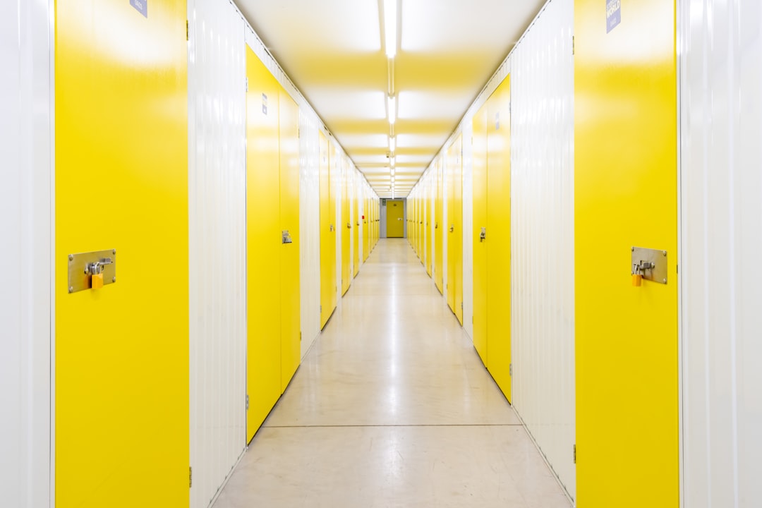 Seasonal Item Storage: Holiday Decor and Sports Equipment