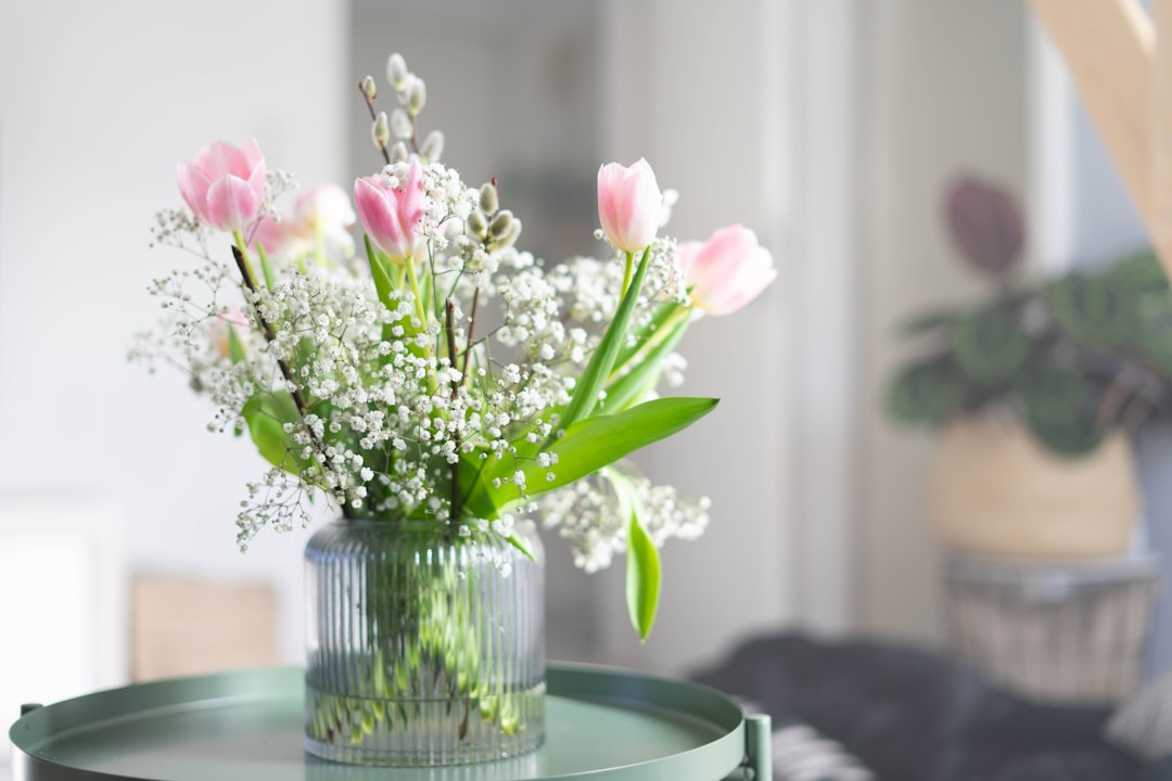 Spring Cleaning Checklist: Complete Room-by-Room Guide